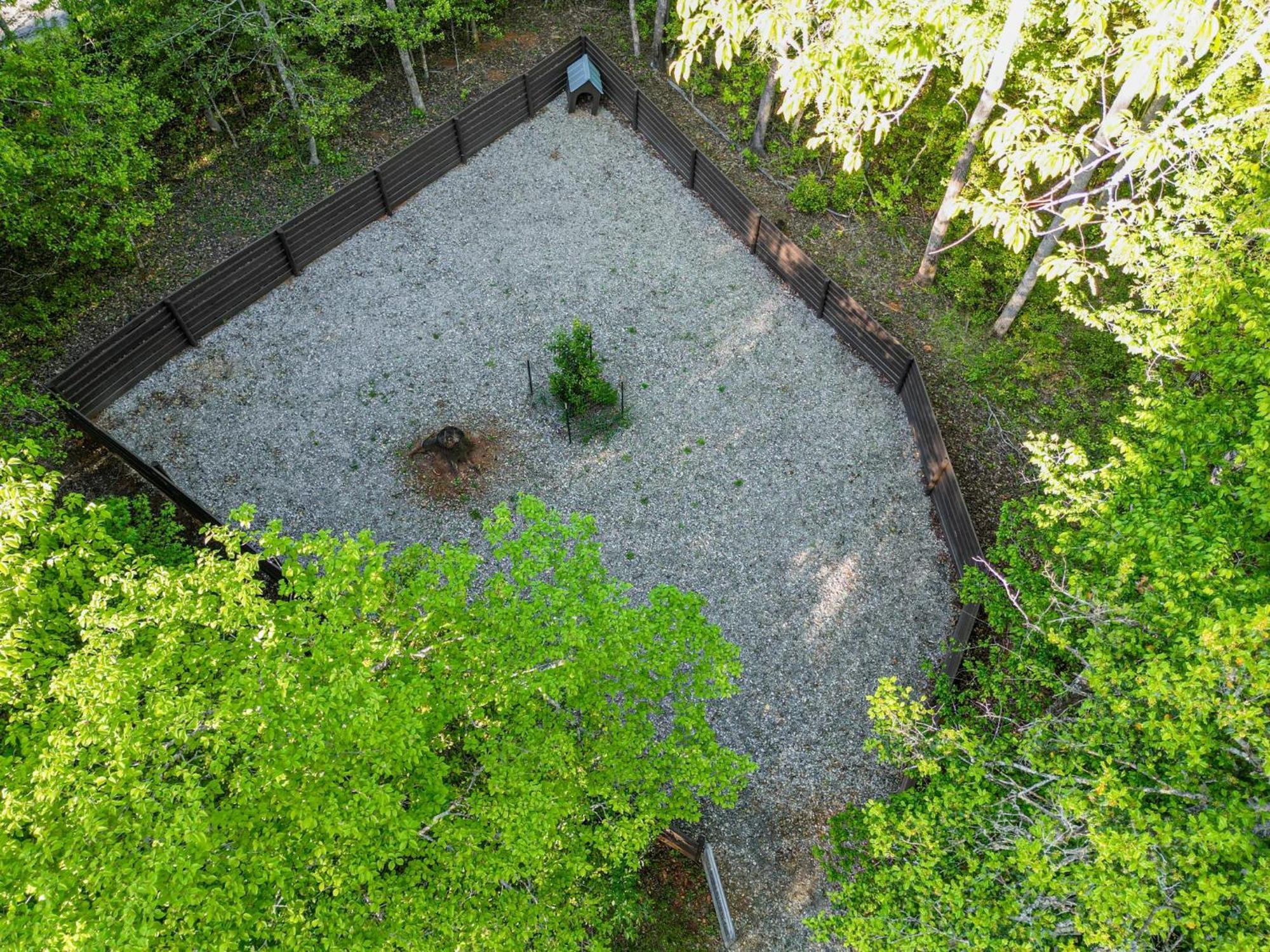 The Big Little Cabin - Hot Tub & Playground Dahlonega Exterior foto